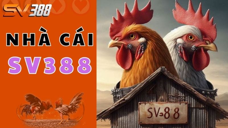 giới thiệu về SV388
